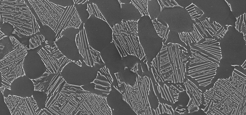 Titanium alloy microstructure with equiaxed regions and fine lamellar features